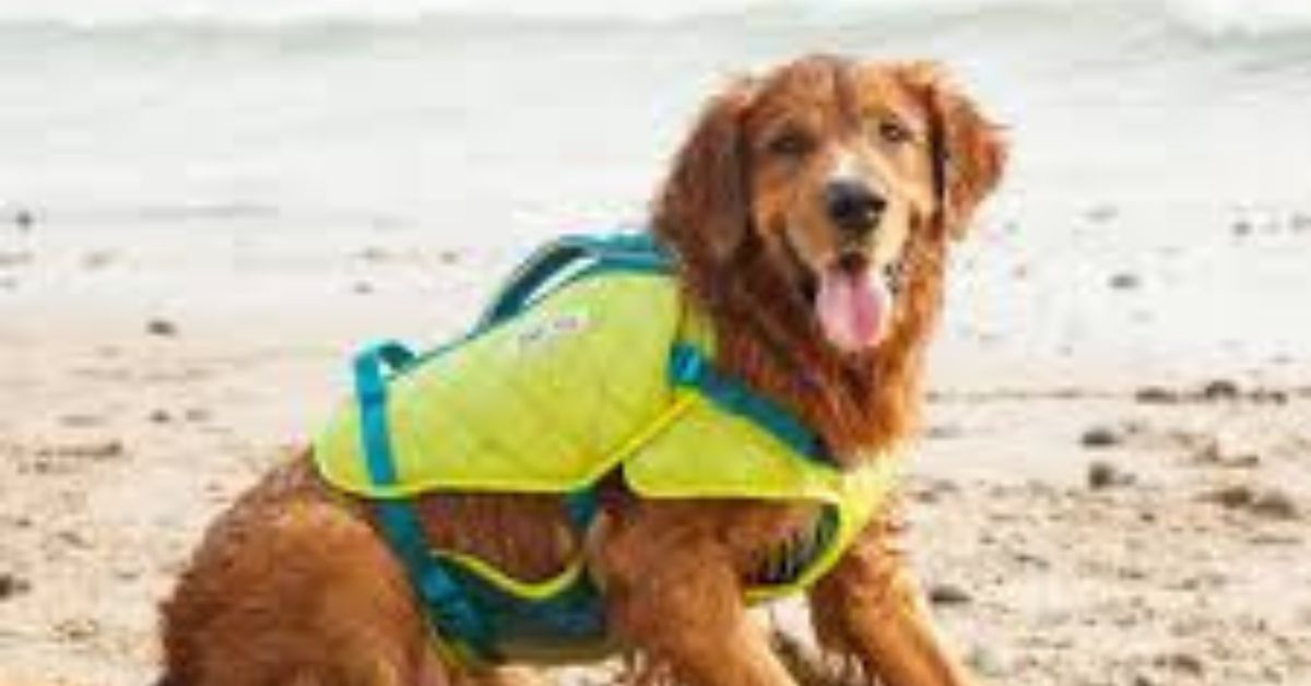 OutwardHound Stadley Sport Dog Life Jacket