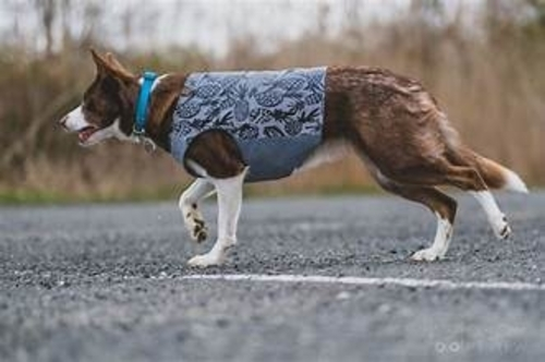 Beana-Aurora-Reflective-winter-Jacket