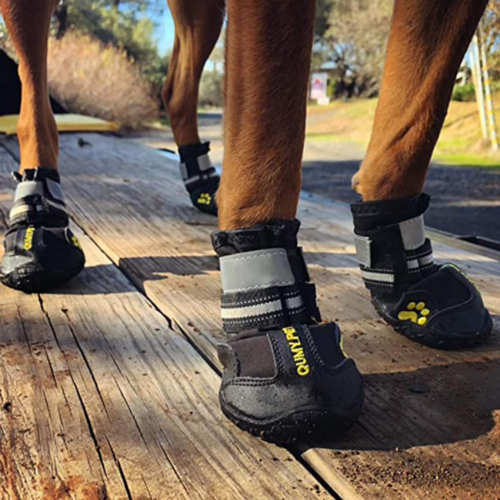 QUMY-Waterproof-Dog-Boots5