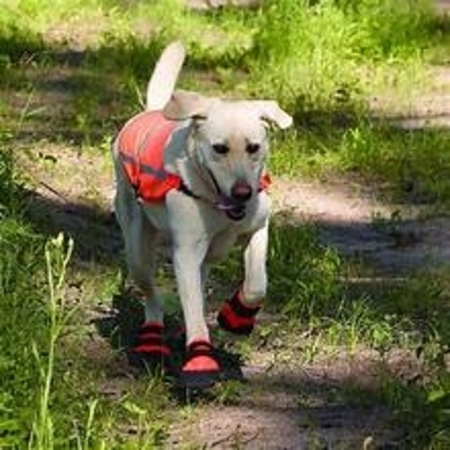 Ultra-Paws-Rugged- Dog-Boots2