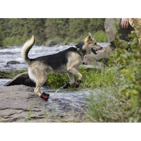 ruffwear-grip-trex-dog-jumping