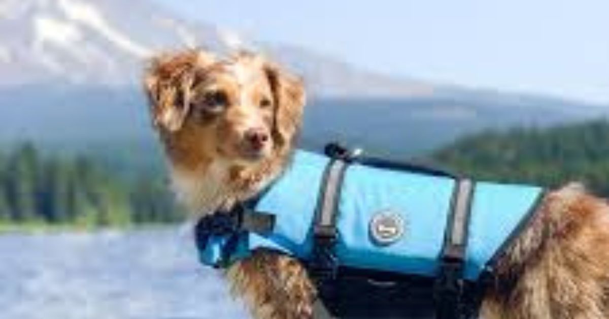 VivaGlory Dog Life Jacket