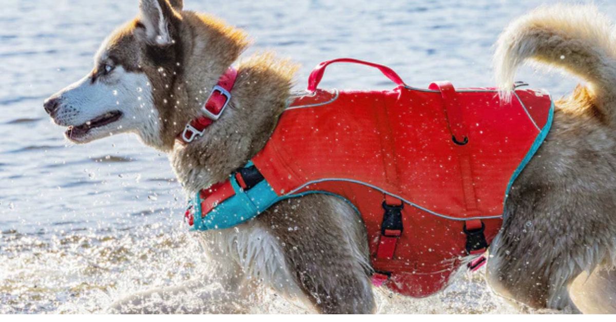 Kurgo Surf and Turf Dog Life Jacket