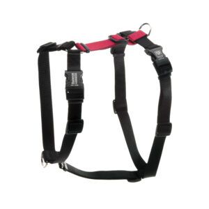 blue-9 Balance Harness. black with red