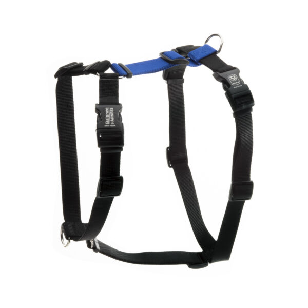 Blue-9 balance harness blue