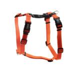 Blue-9 Balance Harness (Orange)