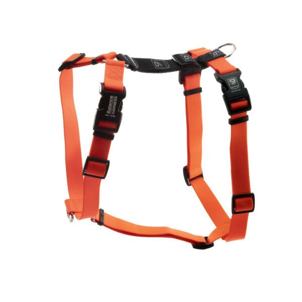 blue-9 balance harness orange