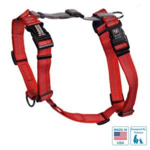 Blue-9 Reflective Balance Harness (Red)