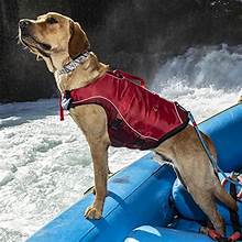Adventure Gear for Dogs Life Jackets, Mud Suits, Snow Suits and Training Vests